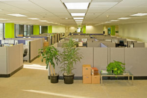 Eco-Friendly Office Furniture Tampa, FL 